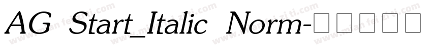 AG Start_Italic Norm字体转换